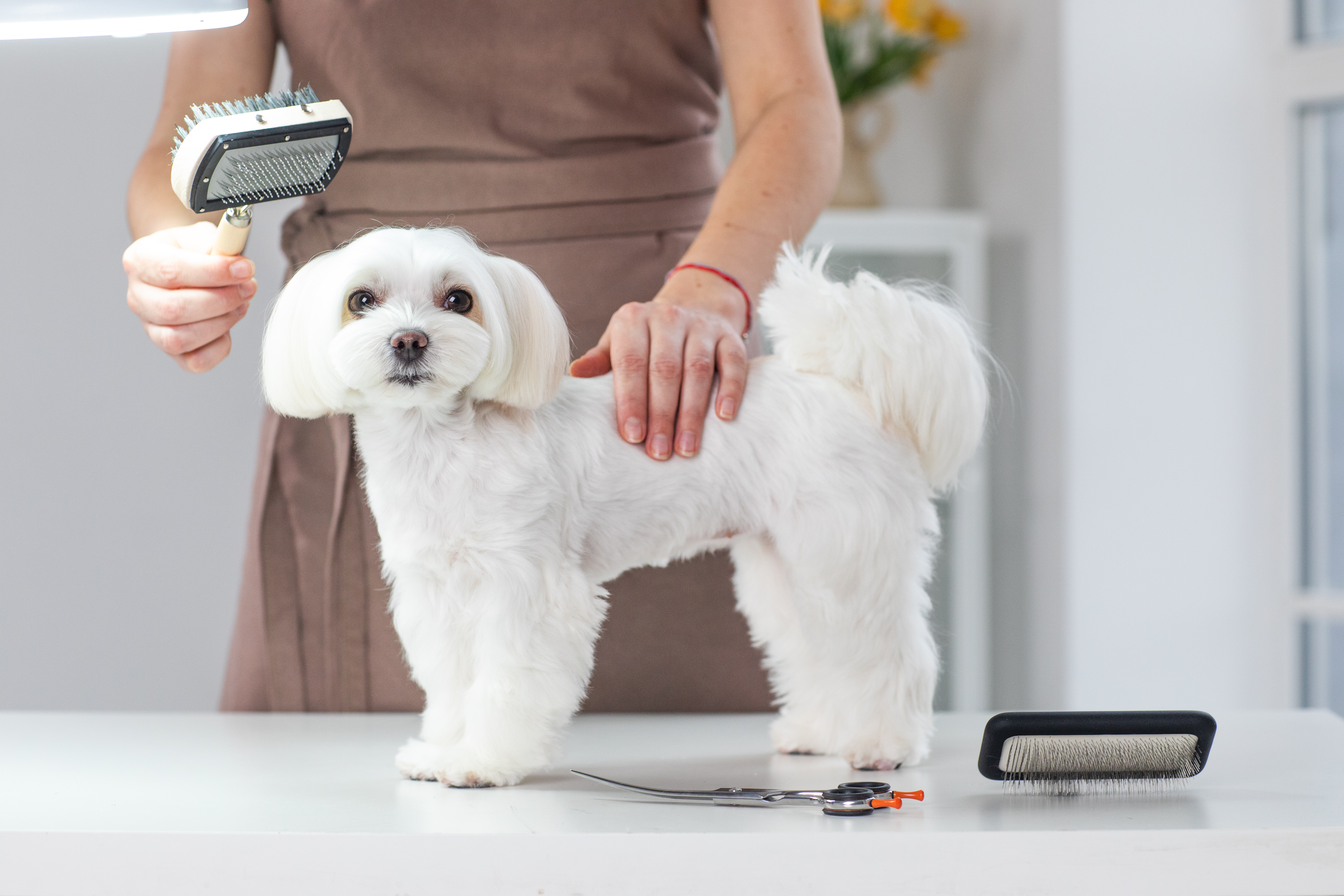 シャンプー＆カットコース