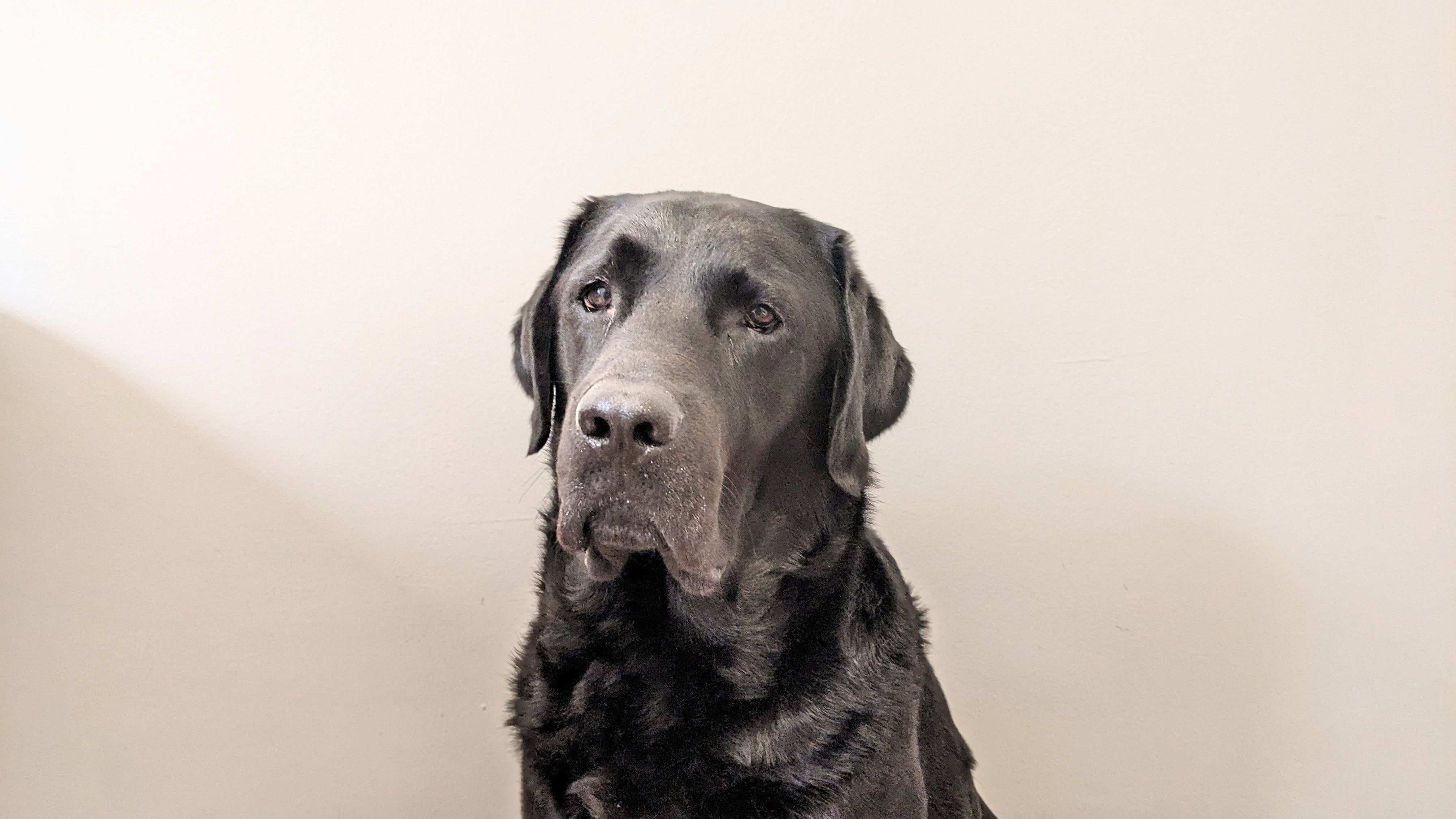 ホームページリニューアル